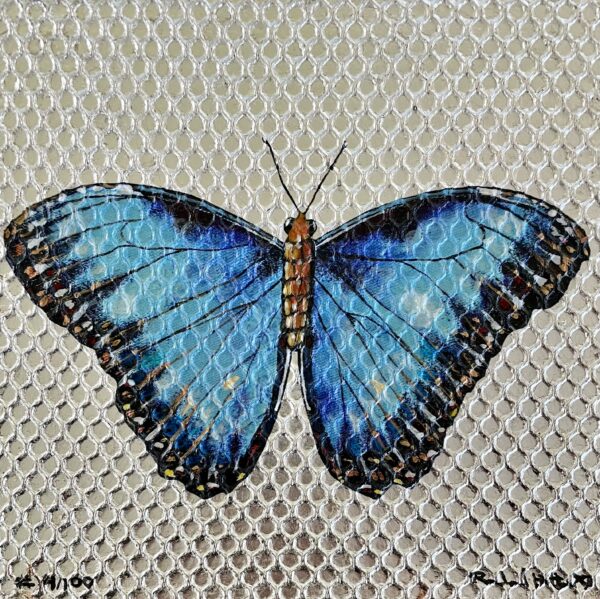 Madam Butterfly #2 Monotype Print on Box Frame SOLD
